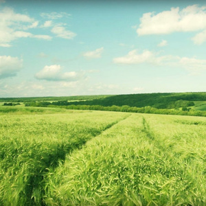 少妇精品不卡一二三四五区
