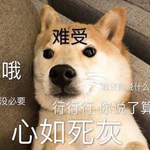 少妇精品不卡一二三四五区
